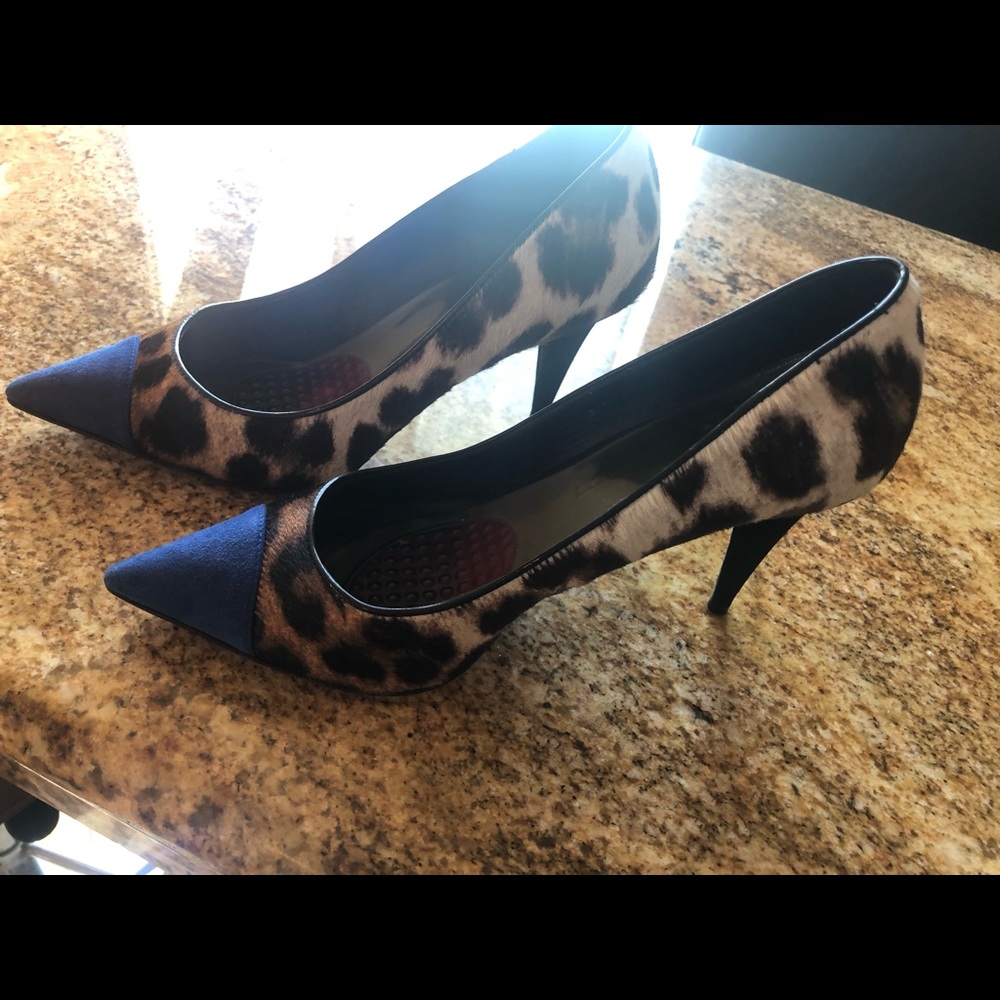 Giuseppe zanotti